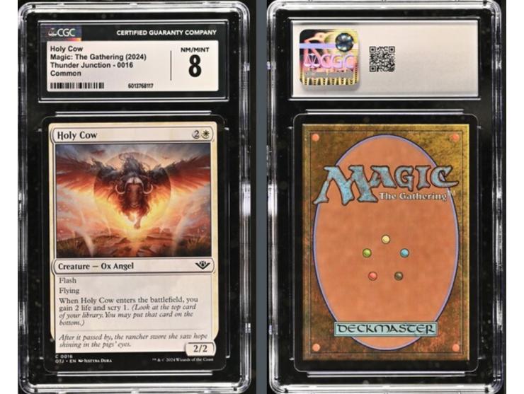 This curated set of four cards is a magnificent visual feast, paying homage to the whimsical and rugged aesthetics of the 202